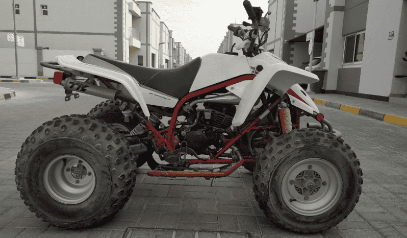 2007 Yamaha Blaster (YFS200)