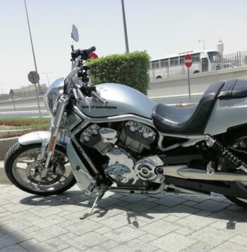 2013 Harley-Davidson V-Rod Muscle (VRSCF)