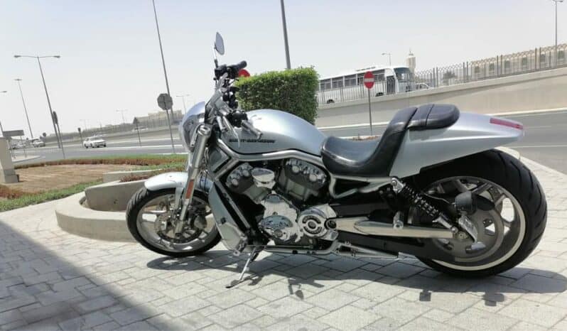 2013 Harley-Davidson V-Rod Muscle (VRSCF)