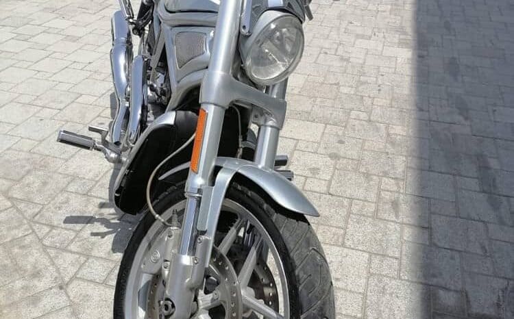 
								2013 Harley-Davidson V-Rod Muscle (VRSCF) full									