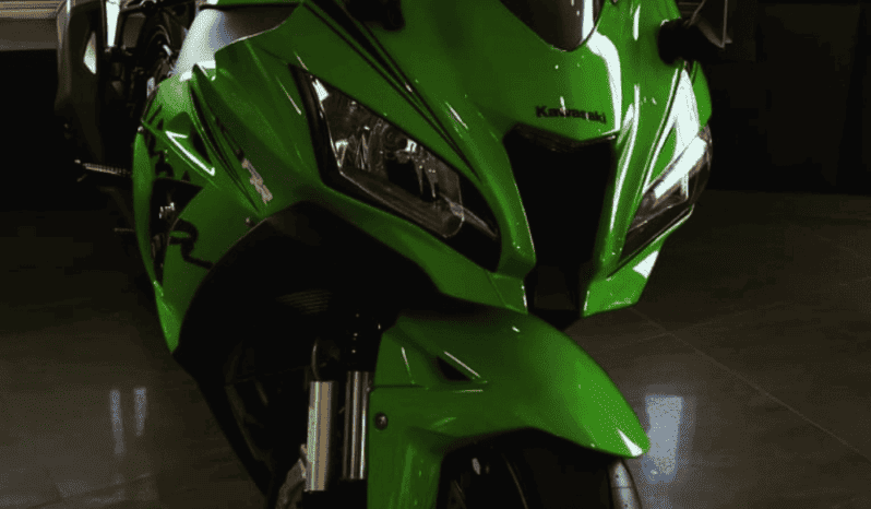 
								2019 Kawasaki Ninja ZX-10RR (ZX1000Z) full									