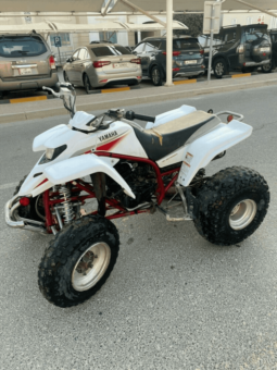 2004 Yamaha Blaster (YFS200)