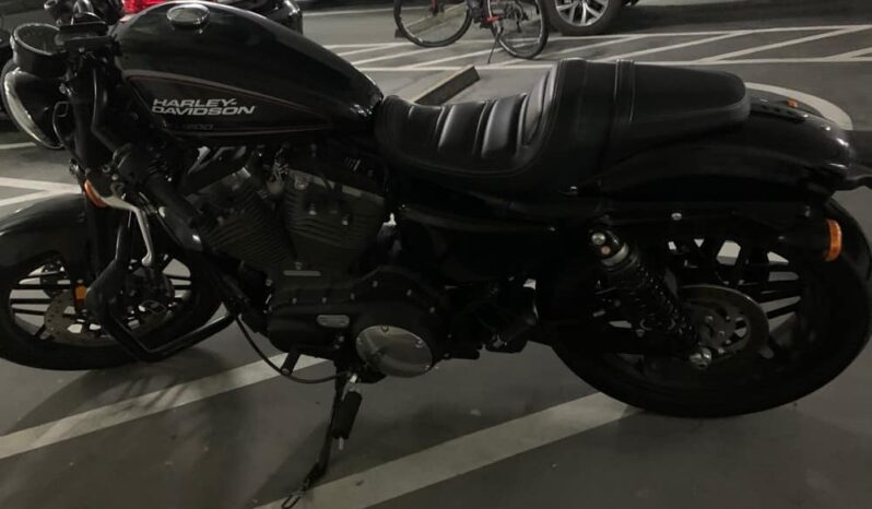 
								2019 Harley-Davidson Roadster (XL1200CX) full									