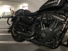 2019 Harley-Davidson Roadster (XL1200CX)