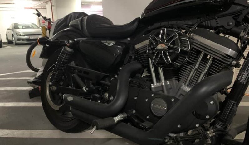 
								2019 Harley-Davidson Roadster (XL1200CX) full									