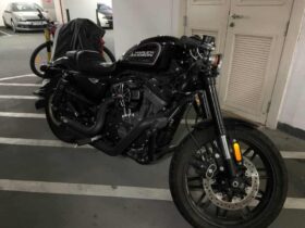 2019 Harley-Davidson Roadster (XL1200CX)