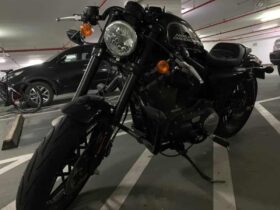 2019 Harley-Davidson Roadster (XL1200CX)