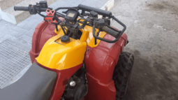 2015 Yamaha Grizzly 300 2WD Auto (YFM300A)