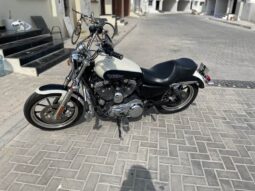 
										2014 Harley-Davidson 1200 Custom (XL1200C) full									