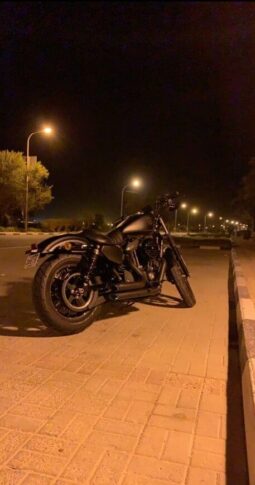 2021 Harley-Davidson Iron 883 (XL883N)