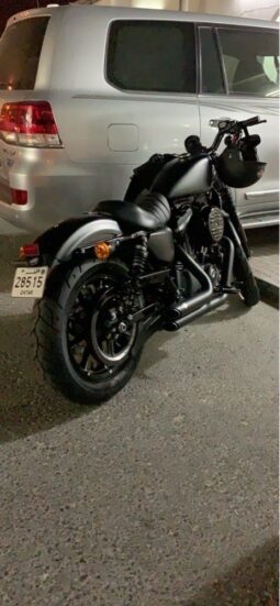 
										2021 Harley-Davidson Iron 883 (XL883N) full									