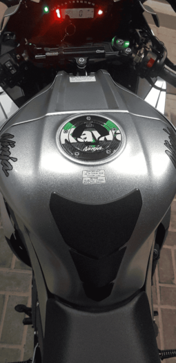 
										2018 Kawasaki Ninja ZX-10R full									