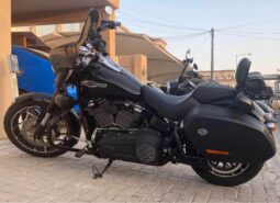 
										2020 Harley-Davidson Sport Glide 107 (FLSB) full									