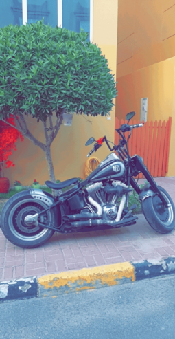 
										2010 Harley-Davidson Fat Boy 103 (FLSTF) full									