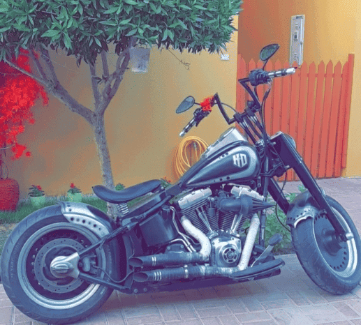 
								2010 Harley-Davidson Fat Boy 103 (FLSTF) full									