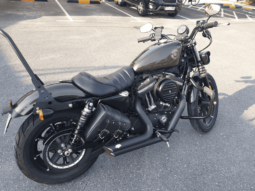 
										2020 Harley-Davidson Iron 883 (XL883N) full									