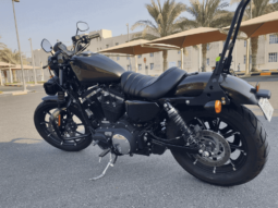 
										2020 Harley-Davidson Iron 883 (XL883N) full									