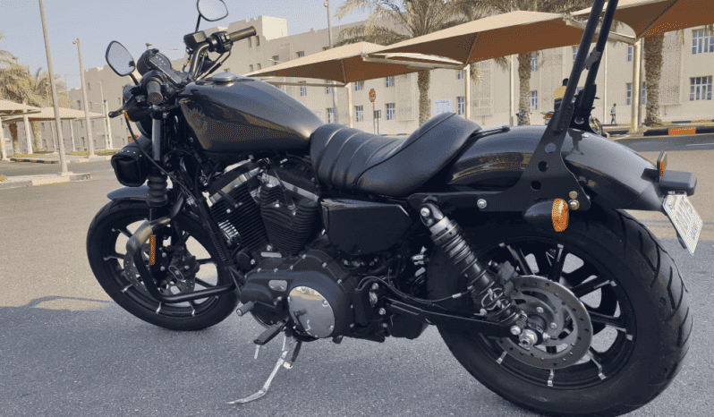 
								2020 Harley-Davidson Iron 883 (XL883N) full									