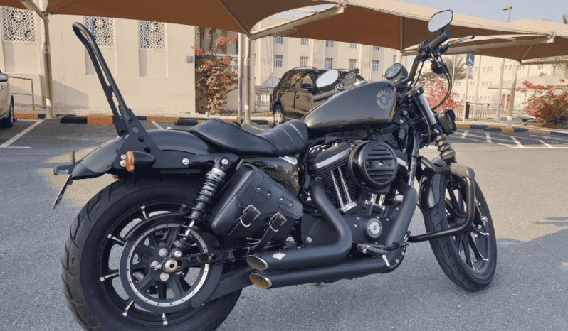 
								2020 Harley-Davidson Iron 883 (XL883N) full									