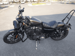 
										2020 Harley-Davidson Iron 883 (XL883N) full									