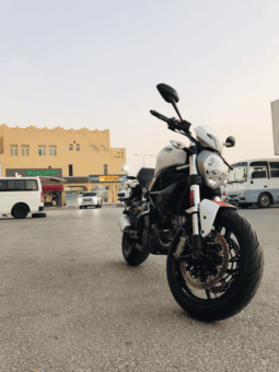 2019 Ducati Monster 797