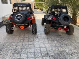 
										2012 Polaris RZR S 900 EPS full									