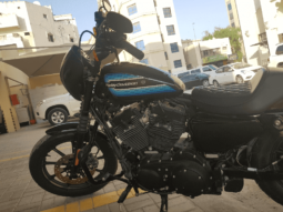 
										2019 Harley-Davidson Iron 1200 (XL1200NS) full									