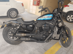 2019 Harley-Davidson Iron 1200 (XL1200NS)