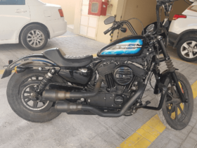 2019 Harley-Davidson Iron 1200 (XL1200NS)