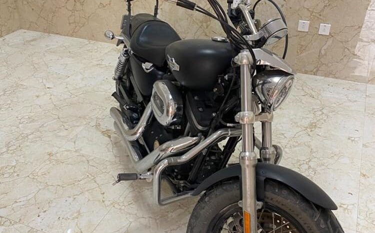 
								2014 Harley-Davidson Sportster 1200 (XL1200) full									