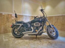 2014 Harley-Davidson Sportster 1200 (XL1200)