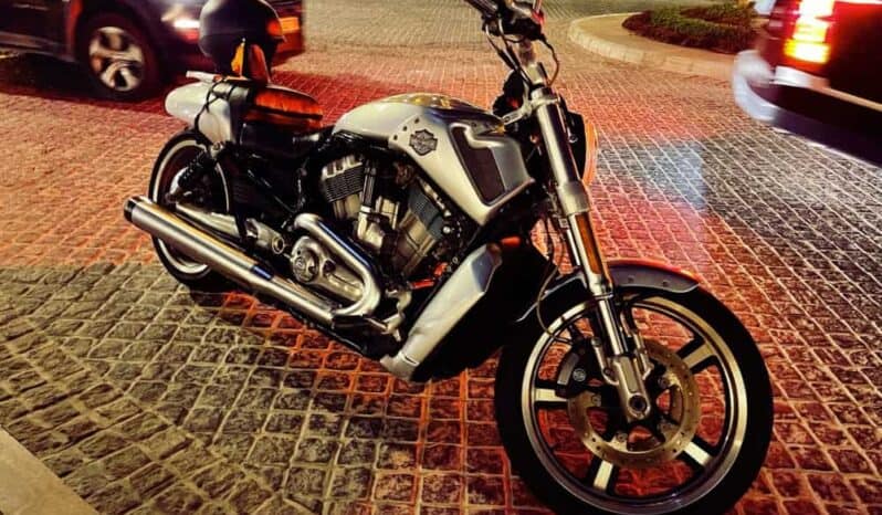 2011 Harley-Davidson V-Rod Muscle (VRSCF)