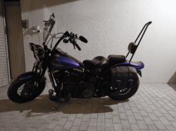 2010 Harley-Davidson Cross Bones 96 (FLSTSB)