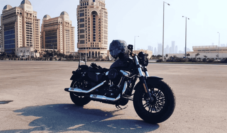 
								2019 Harley-Davidson Forty-Eight (XL1200X) full									