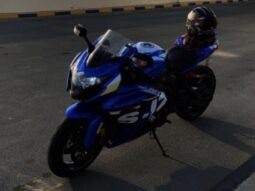 2015 Suzuki GSX-R1000